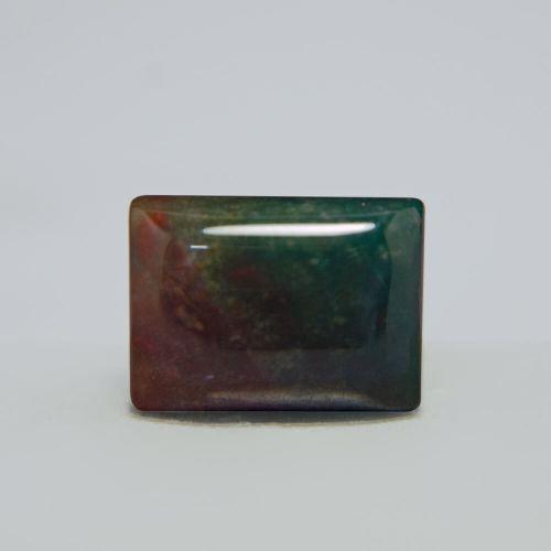 Bloodstone - 16.08 Carat 