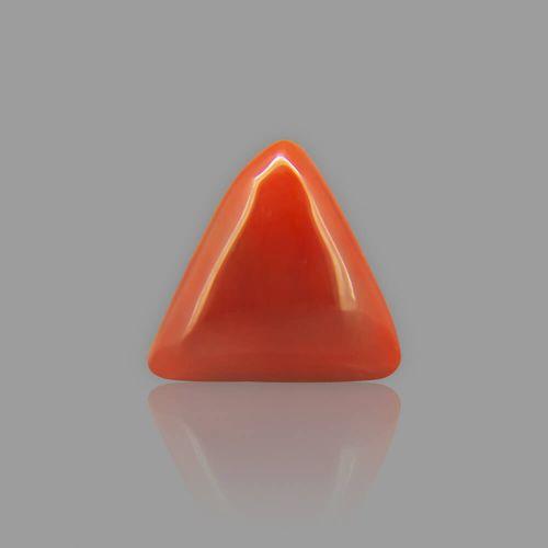 Red Coral (Moonga) Italian - 13.79 Carat (15.25 Ratti)