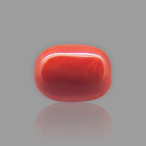 Red Coral (Moonga) Italian - 16.42 Carat (18.25 Ratti)