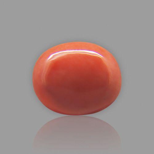 Red Coral (Moonga) Japanese - 6.26 Carat (7.00 Ratti)