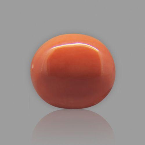 Red Coral (Moonga) Japanese - 6.14 Carat (6.81 Ratti)