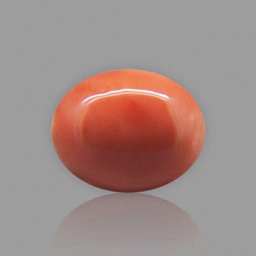 Red Coral (Moonga) Japanese - 7.22 Carat (8.00 Ratti)