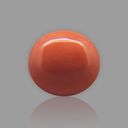Red Coral (Moonga) Japanese - 6.21 Carat (6.90 Ratti)