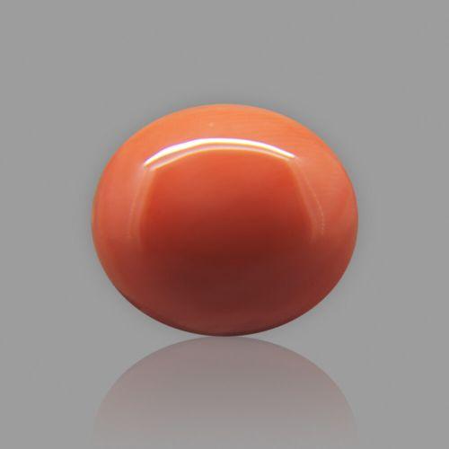 Red Coral (Moonga) Japanese - 6.60 Carat (7.30 Ratti)
