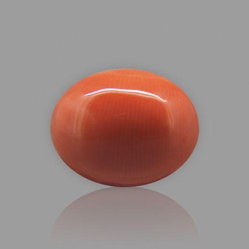 Red Coral (Moonga) Japanese - 6.88 Carat (7.50 Ratti)