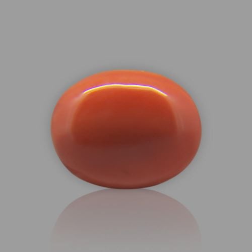 Red Coral (Moonga) Japanese - 6.58 Carat (7.25 Ratti)