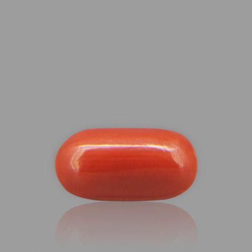 Red Coral - 2.67 Carat