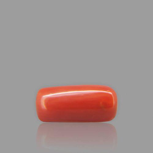 Red Coral - 2.84 Carat