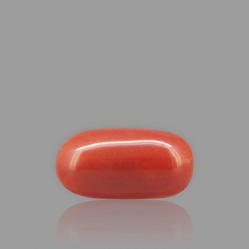 Red Coral - 2.66 Carat