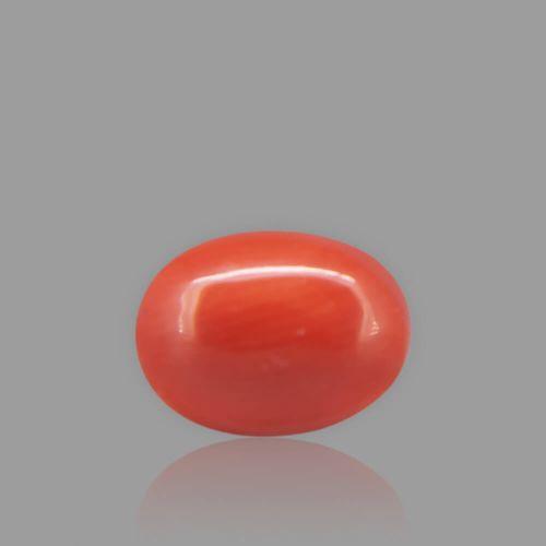 Red Coral - 2.05 Carat