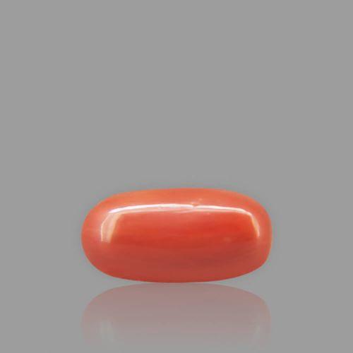 Red Coral - 2.29 Carat