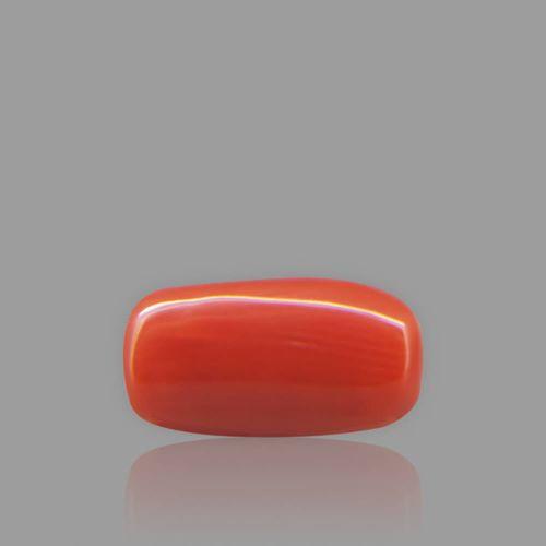 Red Coral - 2.23 Carat