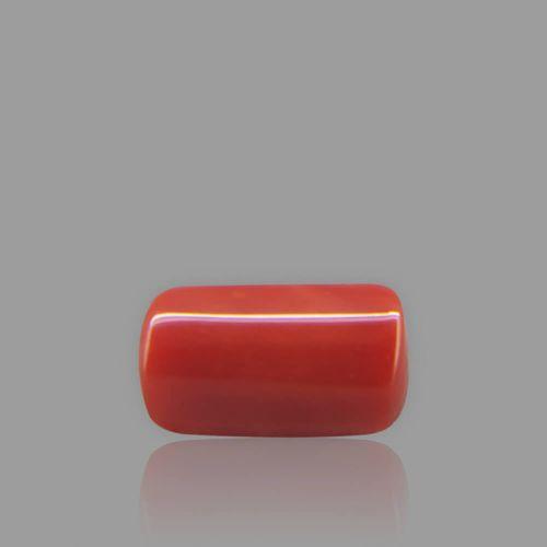 Red Coral - 1.89 Carat