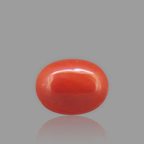 Red Coral - 1.83 Carat