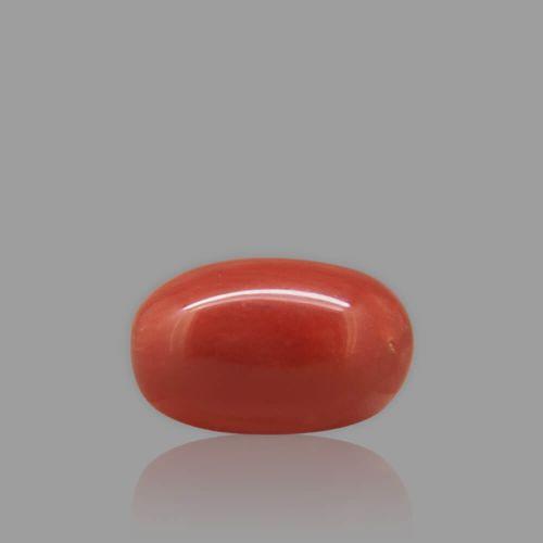 Red Coral - 3.69 Carat