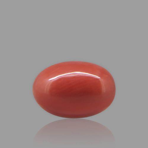 Red Coral - 4.34 Carat