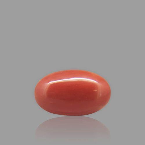 Red Coral - 3.84 Carat