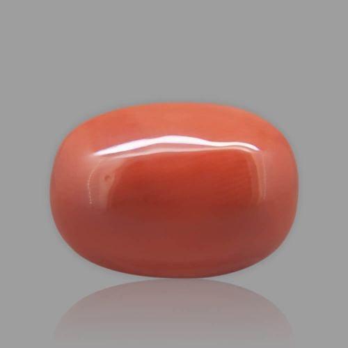 Red Coral - 15.17 Carat