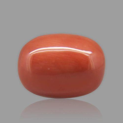 Red Coral - 14.36 Carat