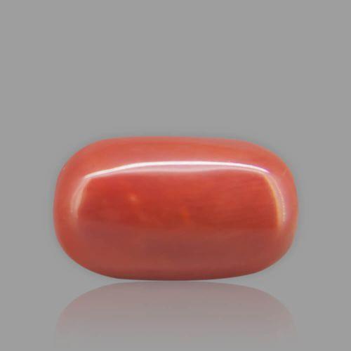 Red Coral - 10.65 Carat