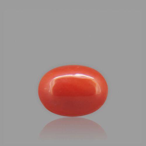 Red Coral - 1.69 Carat