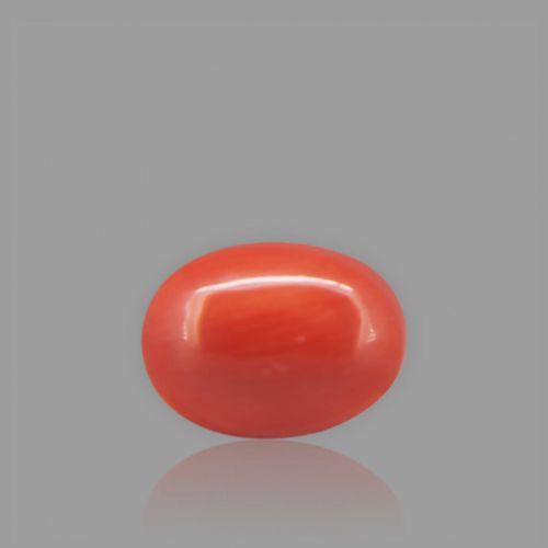 Red Coral - 1.82 Carat