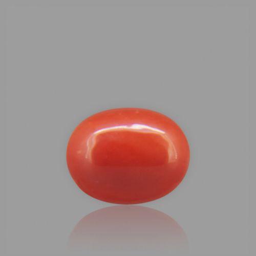 Red Coral - 1.88 Carat
