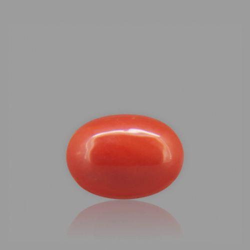 Red Coral - 1.67 Carat
