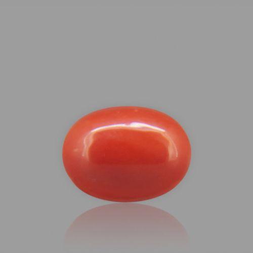 Red Coral - 1.92 Carat
