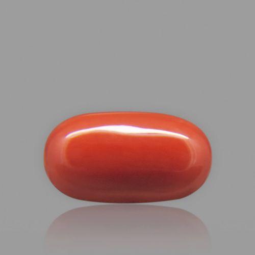 Red Coral - 7.33 Carat
