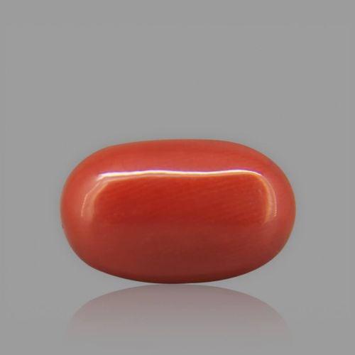 Red Coral - 7.32 Carat