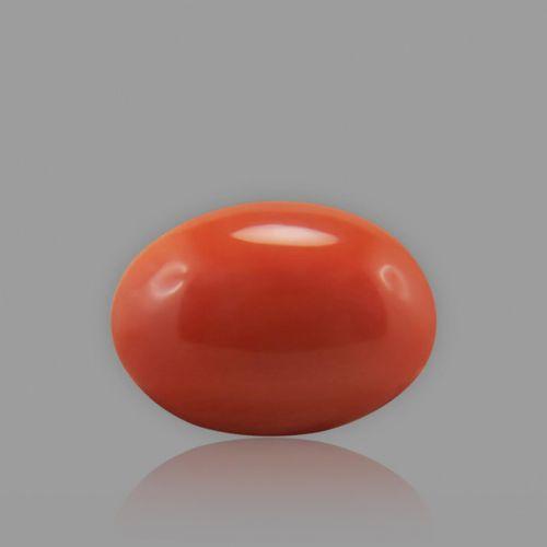 Red Coral - 5.83 Carat