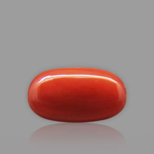 Red Coral - 6.80 Carat