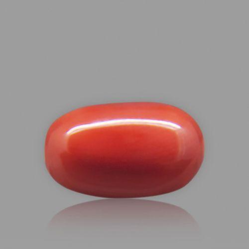 Red Coral - 6.69 Carat