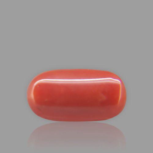 Red Coral - 7.15 Carat