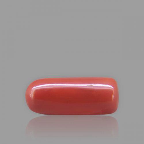 Red Coral - 7.11 Carat
