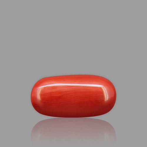 Red Coral - 7.12 Carat