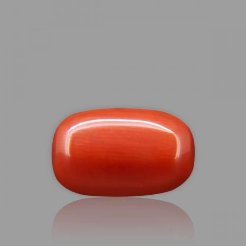 Red Coral - 5.38 Carat