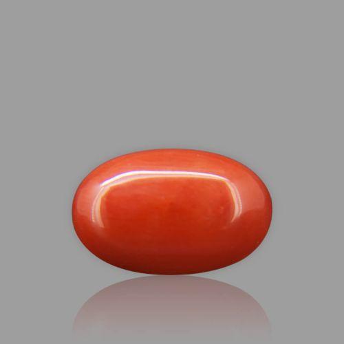 Red Coral - 7.71 Carat