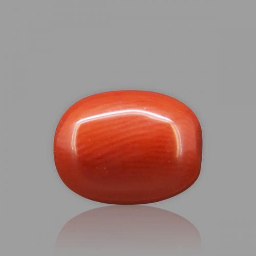 Red Coral - 6.09 Carat