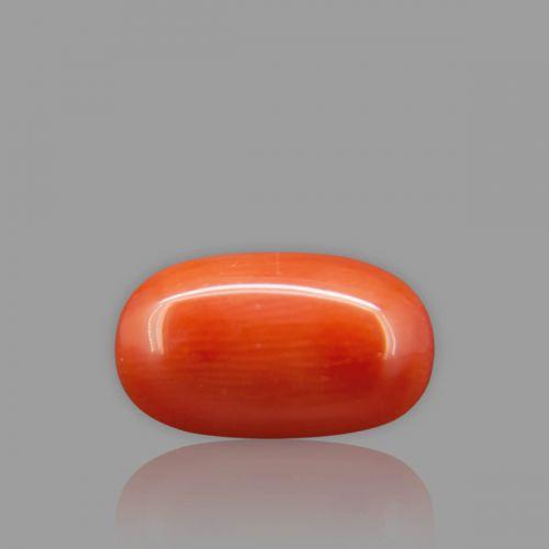 Red Coral - 6.00 Carat