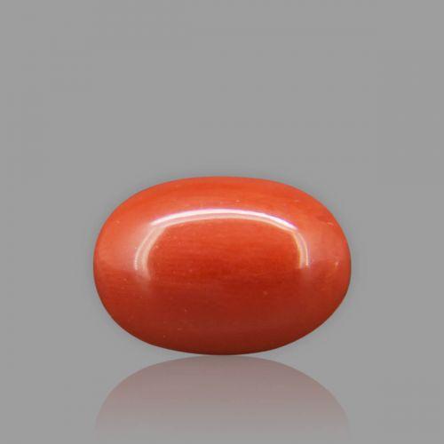 Red Coral - 6.15 Carat