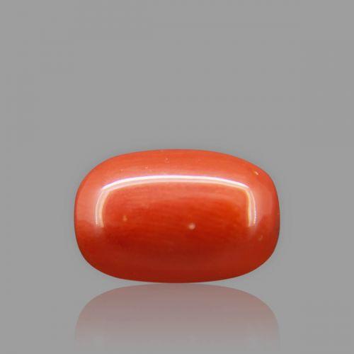 Red Coral - 6.99 Carat