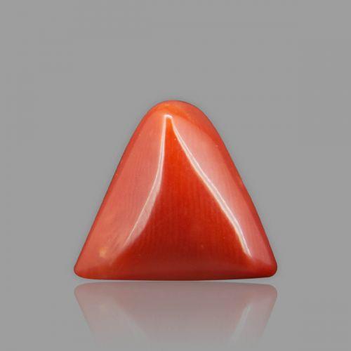 Red Coral - 6.33 Carat