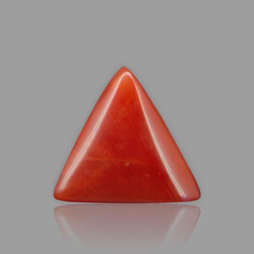 Red Coral - 3.16 Carat