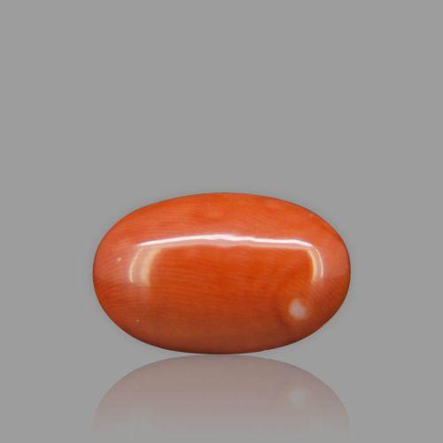 Red Coral - 5.58 Carat