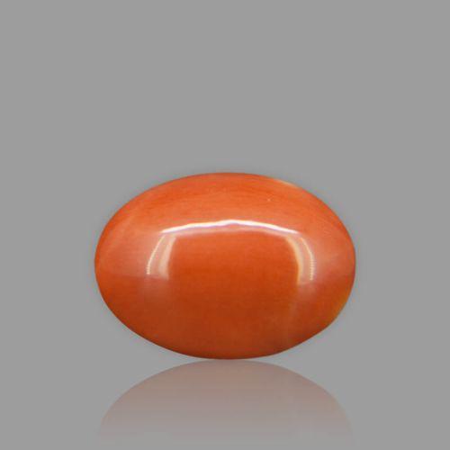 Red Coral - 6.64 Carat