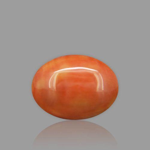 Red Coral - 7.41 Carat