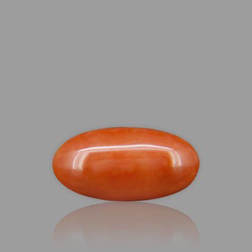 Red Coral - 9.04 Carat