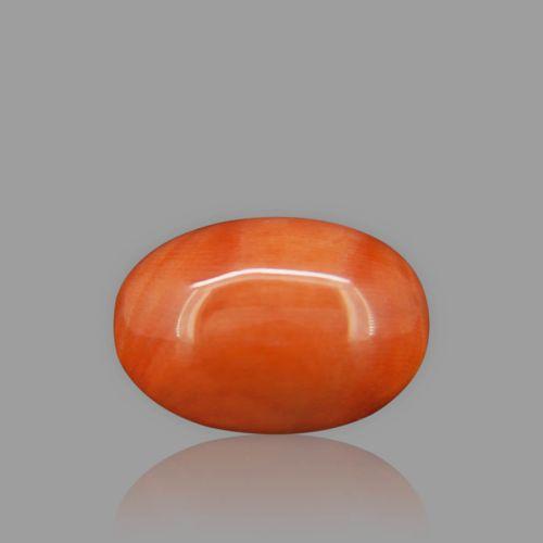 Red Coral - 10.10 Carat